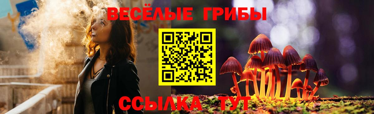 Галлюциногенные грибы мухоморы  Псилоцибиновые грибы Magic Shrooms  даркнет сайт  Кимовск  Вход с VPN 